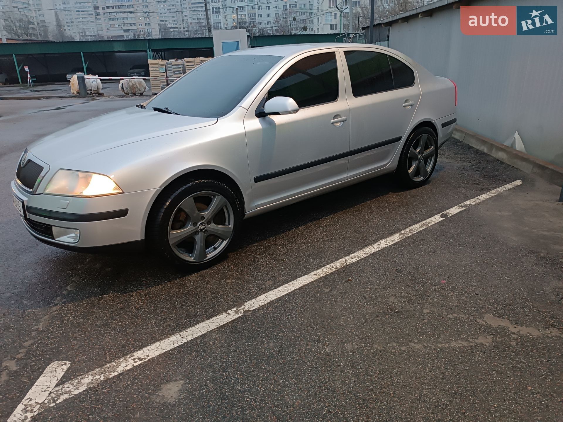 Skoda Octavia 2004 VIN TMBBA61Z252006691 фото оголошення 3 з 6