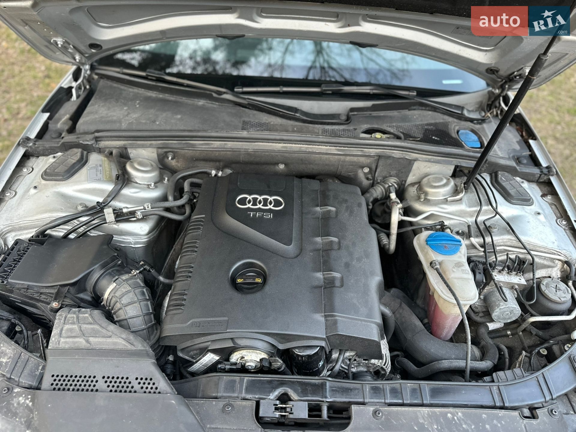 Audi A4 2010 VIN WAUZZZ8K4AA110209 фото оголошення 23 з 23