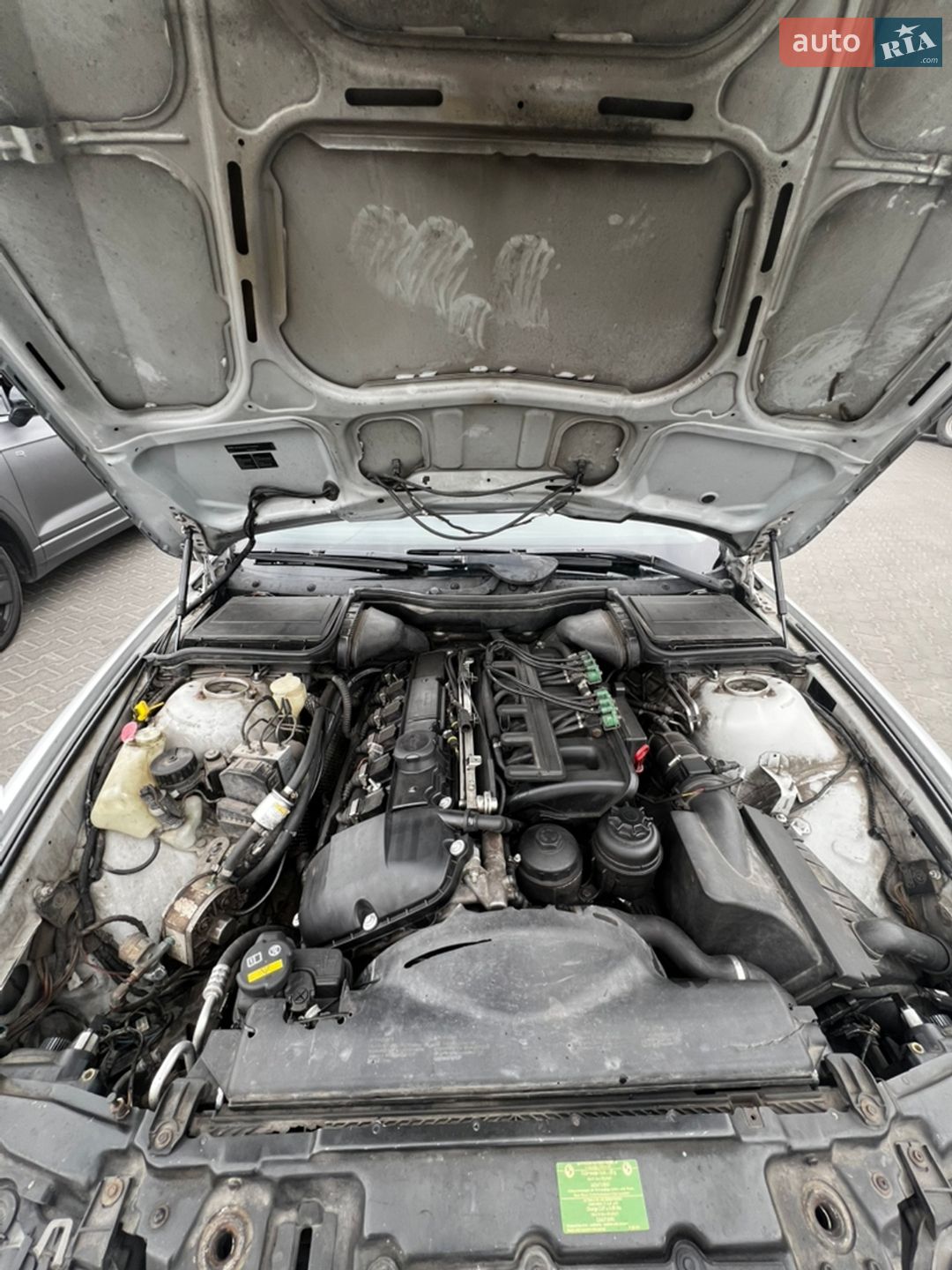 BMW 5 Series 1999 VIN WBADM31000GR13562 фото оголошення 13 з 13
