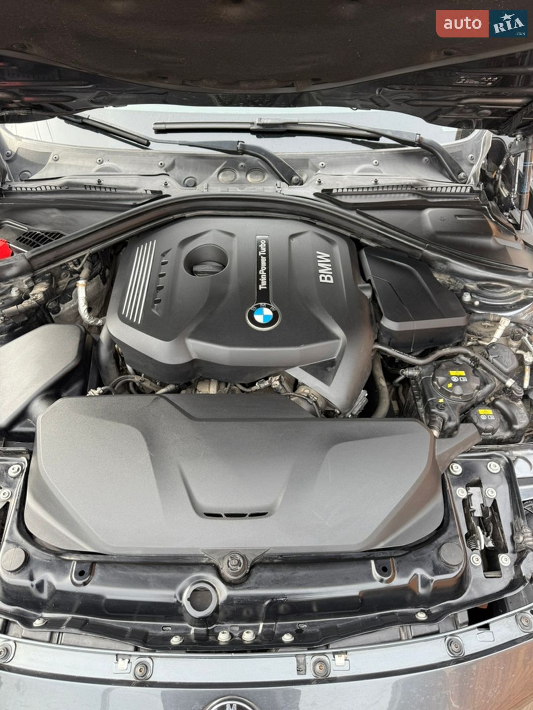 BMW 3 Series 2017 VIN WBA8D9G36HNU65566 фото оголошення 34 з 38