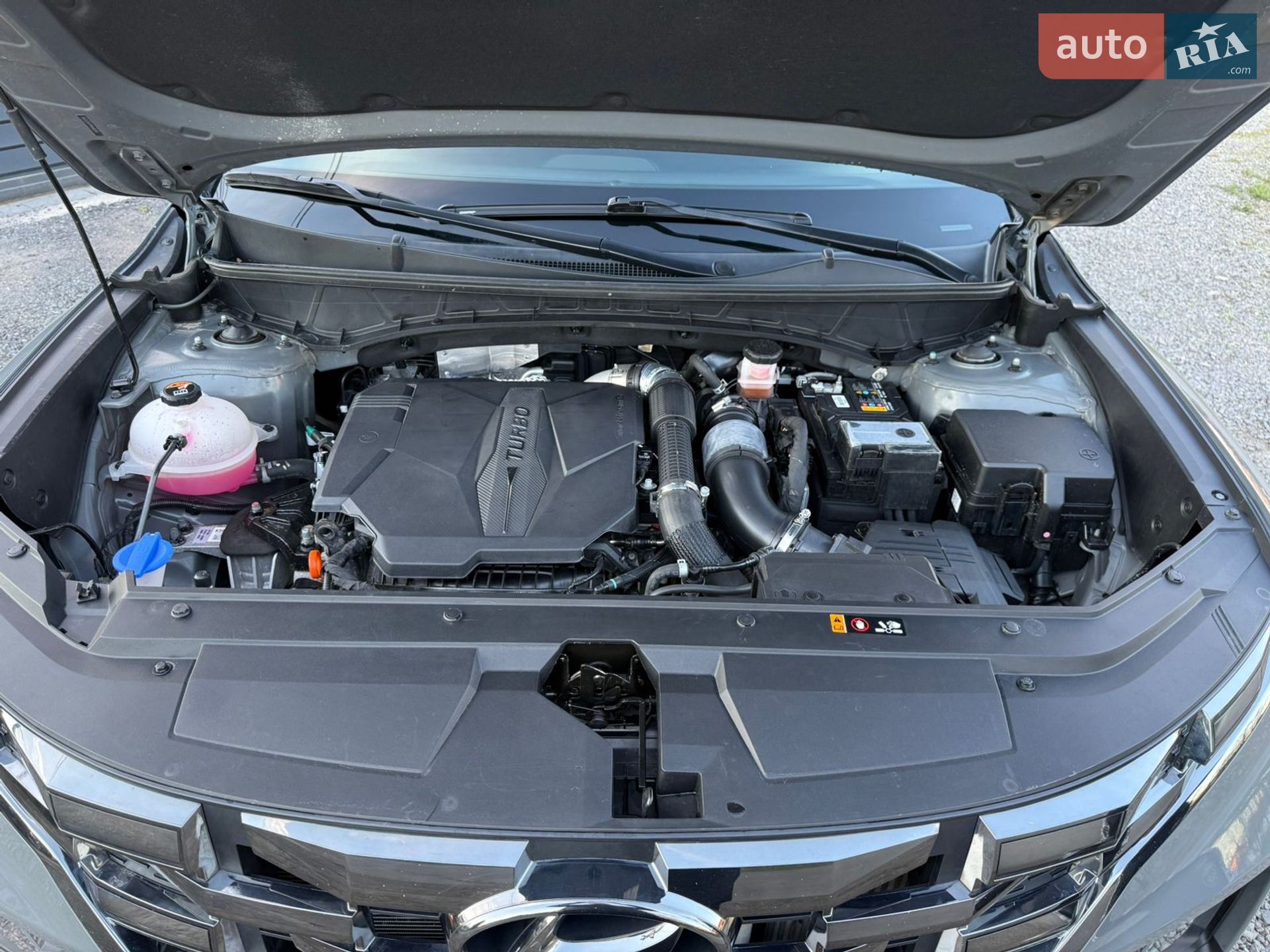 Hyundai Santa Cruz 2023 VIN 5NTJCDAF9RH081393 фото оголошення 13 з 18