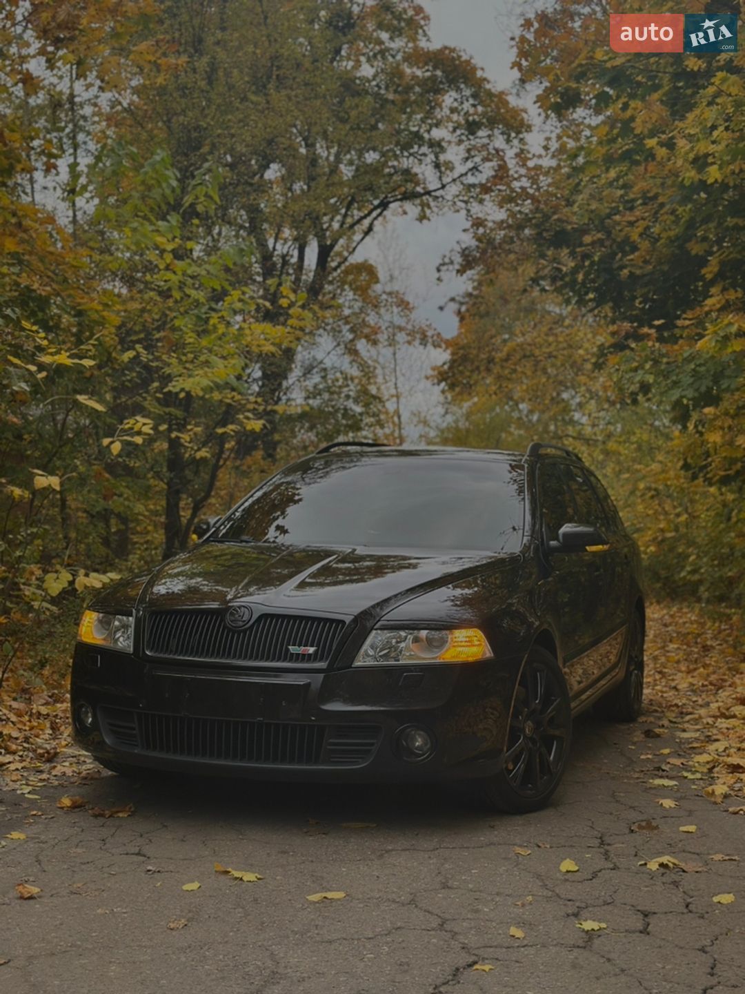 Skoda Octavia 2006 VIN TMBUF61Z172082139 фото оголошення 38 з 38