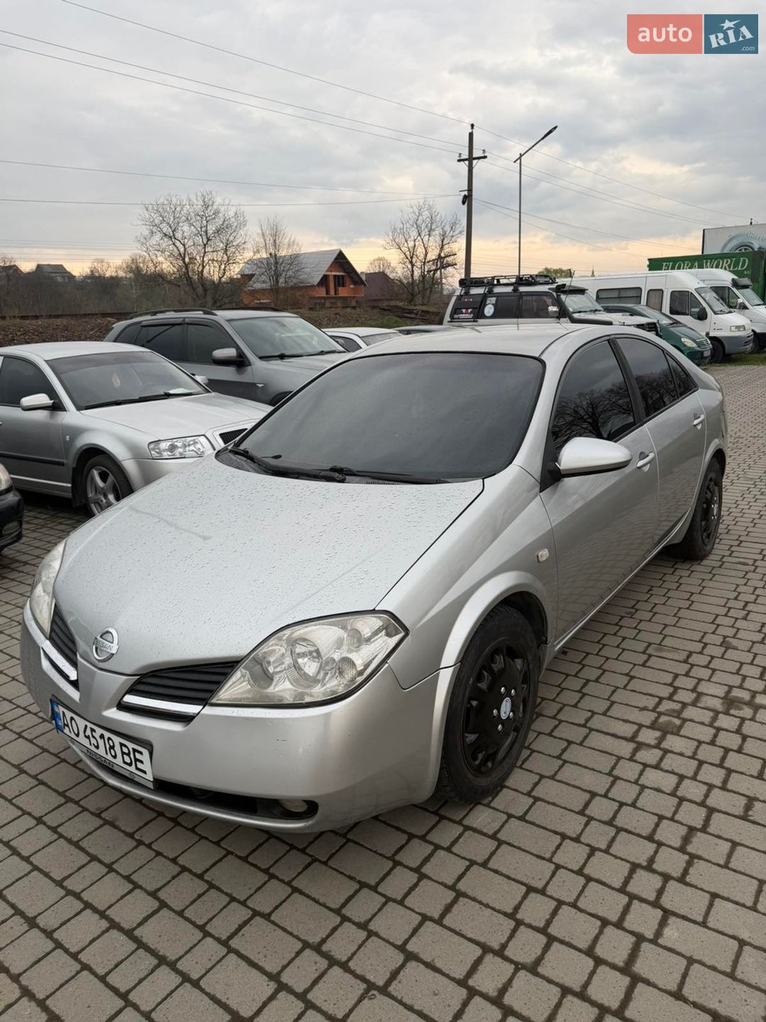 Nissan Primera 2003 VIN SJNBBAP12U0107002 фото оголошення 2 з 14