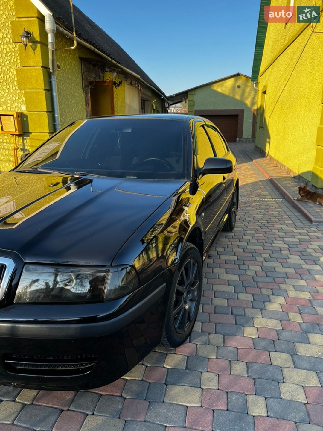 Skoda Octavia 2008 VIN TMBDL41U68B011800 фото оголошення 11 з 24