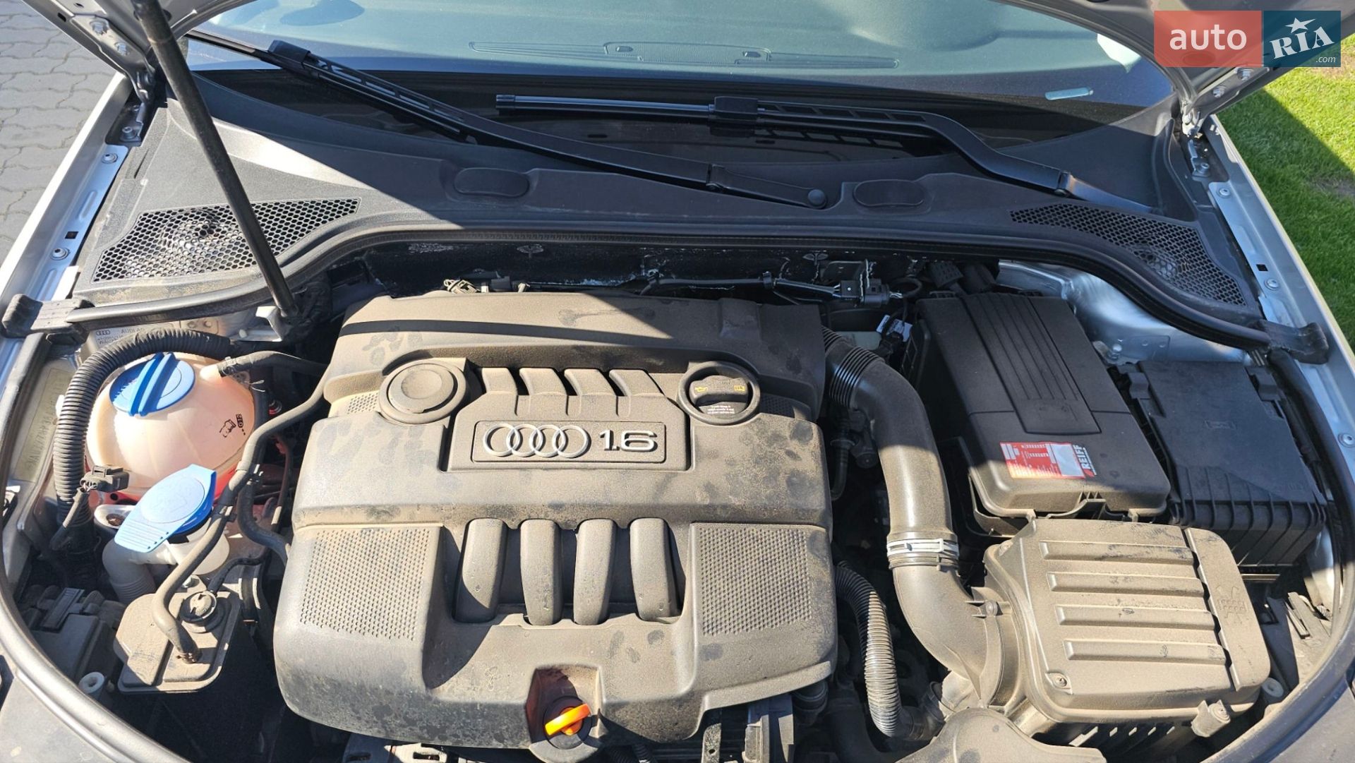 Audi A3 2006 VIN WAUZZZ8P36A200339 фото оголошення 21 з 24