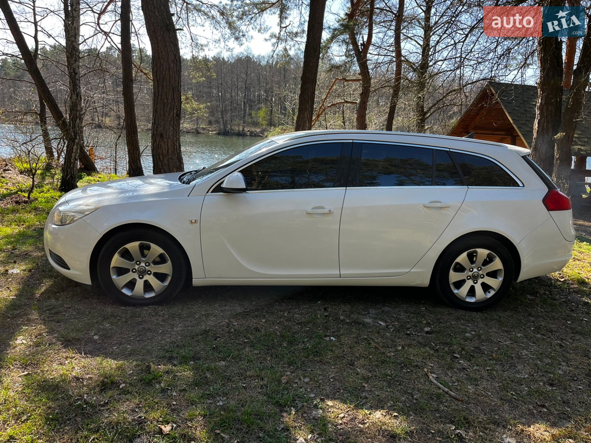 Opel Insignia 2010 VIN W0LGM8EK7A1115345 фото оголошення 3 з 6