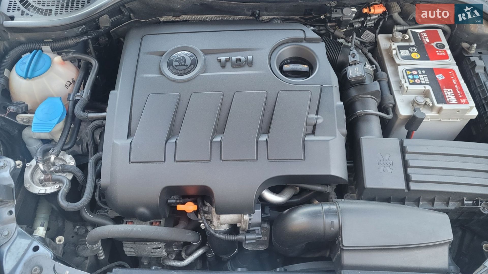 Skoda Octavia 2011 VIN TMBGT61Z6B2115750 фото оголошення 25 з 29