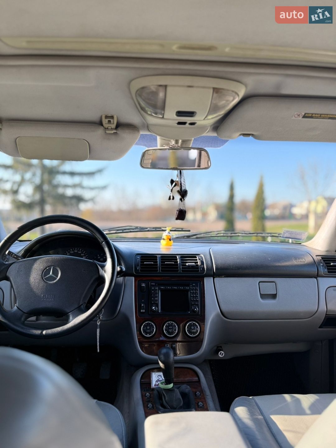 Mercedes-Benz M-Class 2002 VIN WDC1631131A357396 фото оголошення 5 з 16