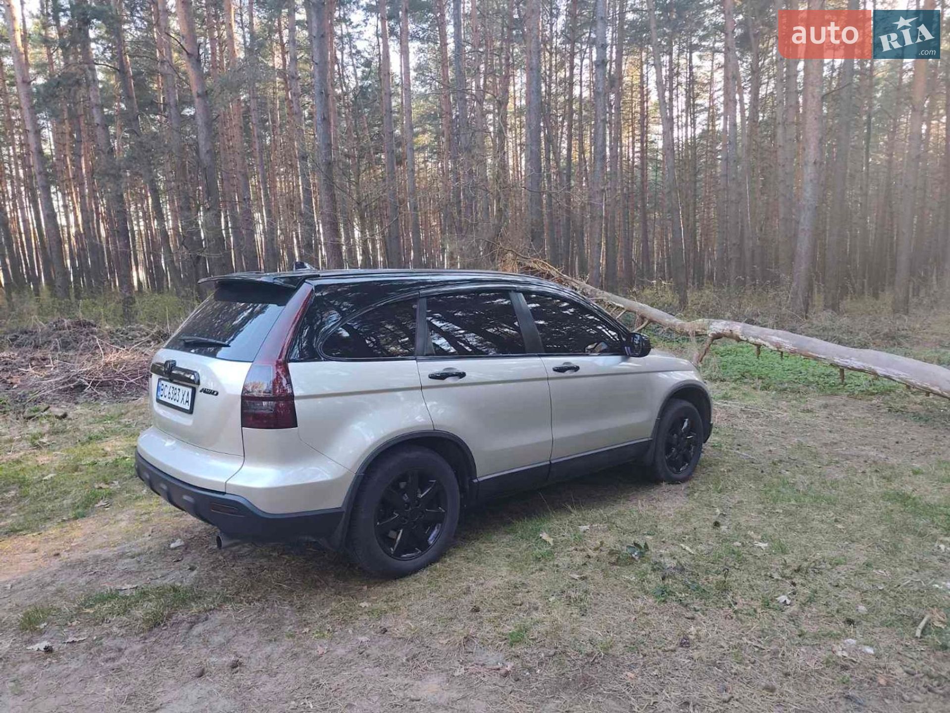 Honda CR-V 2007 VIN SHSRE58507U020554 фото оголошення 17 з 30