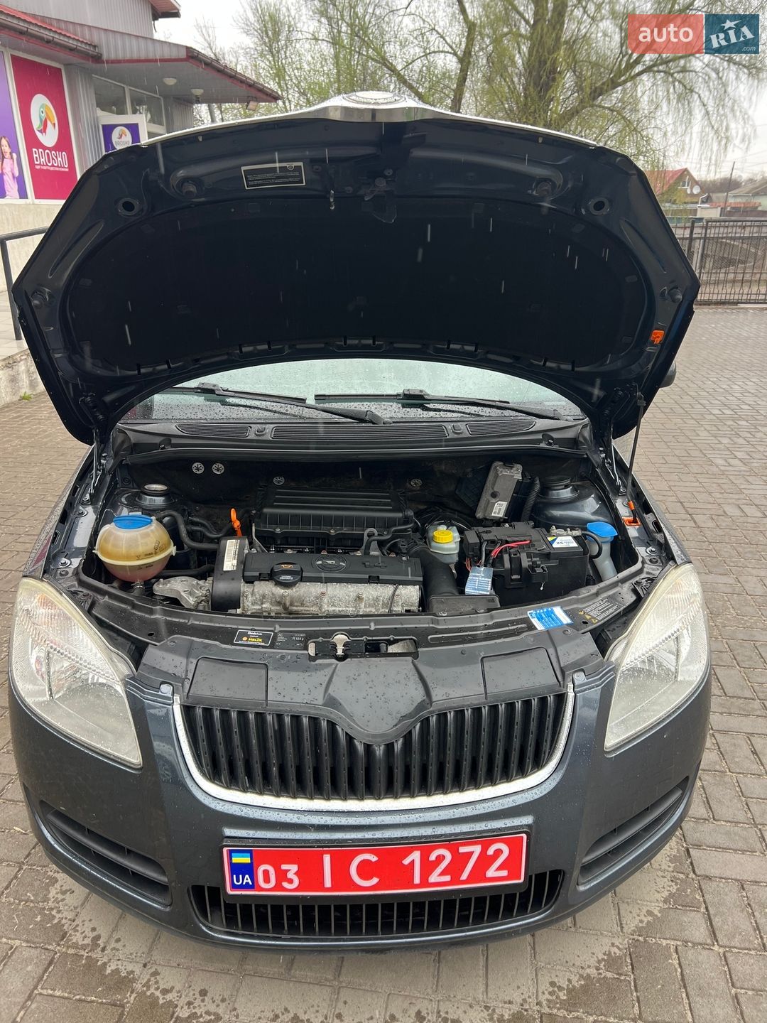 Skoda Fabia 2010 VIN TMBGC65J1A3088518 фото оголошення 44 з 63