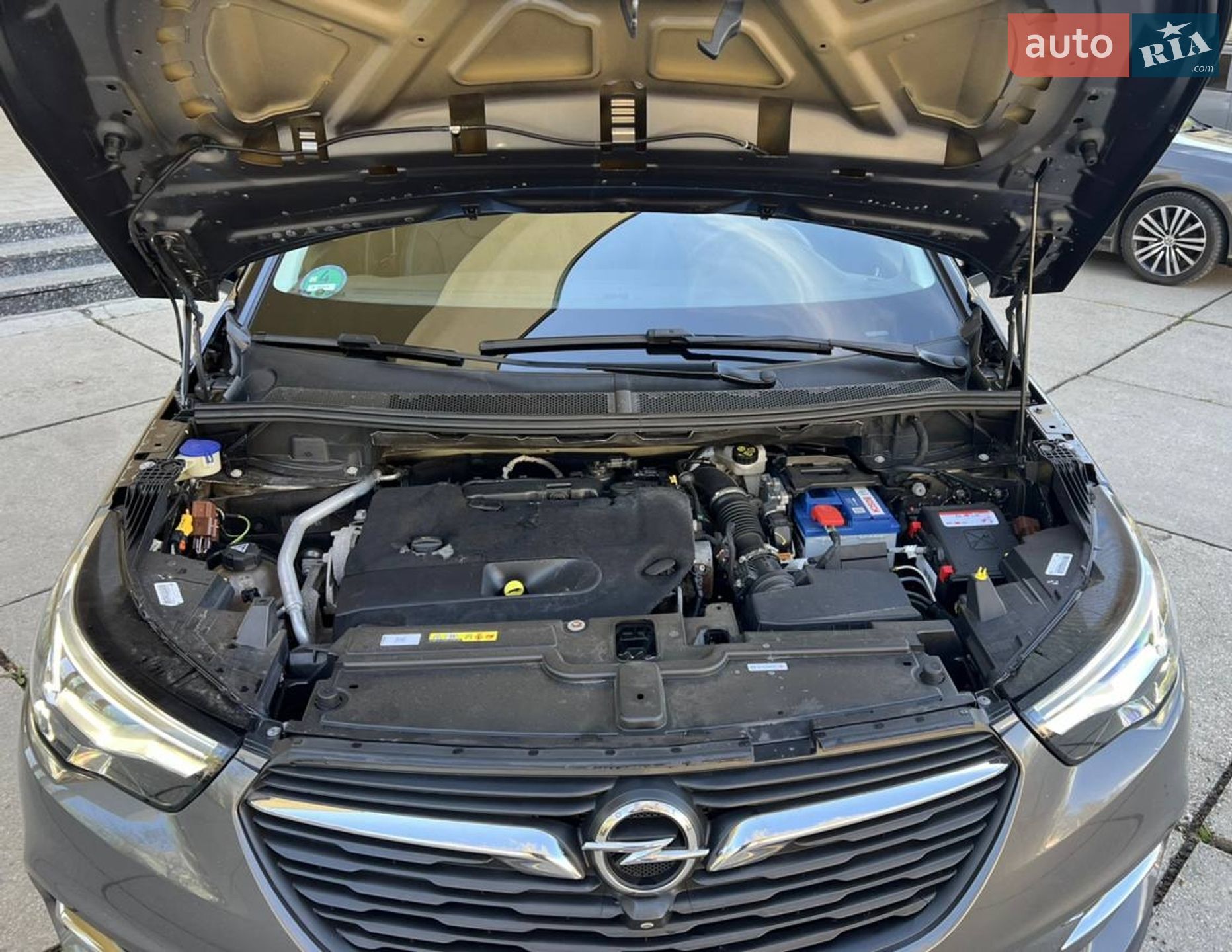 Opel Grandland X 2019 VIN W0VZJEHZXKS323666 фото оголошення 64 з 67