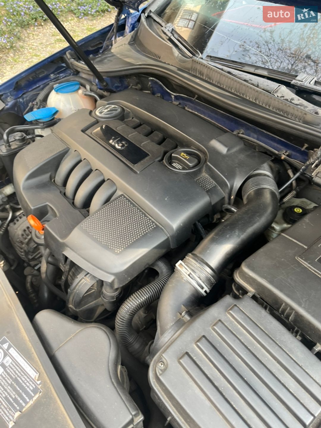 Volkswagen Golf 2005 VIN WVWZZZ1KZ6W009906 фото оголошення 2 з 22
