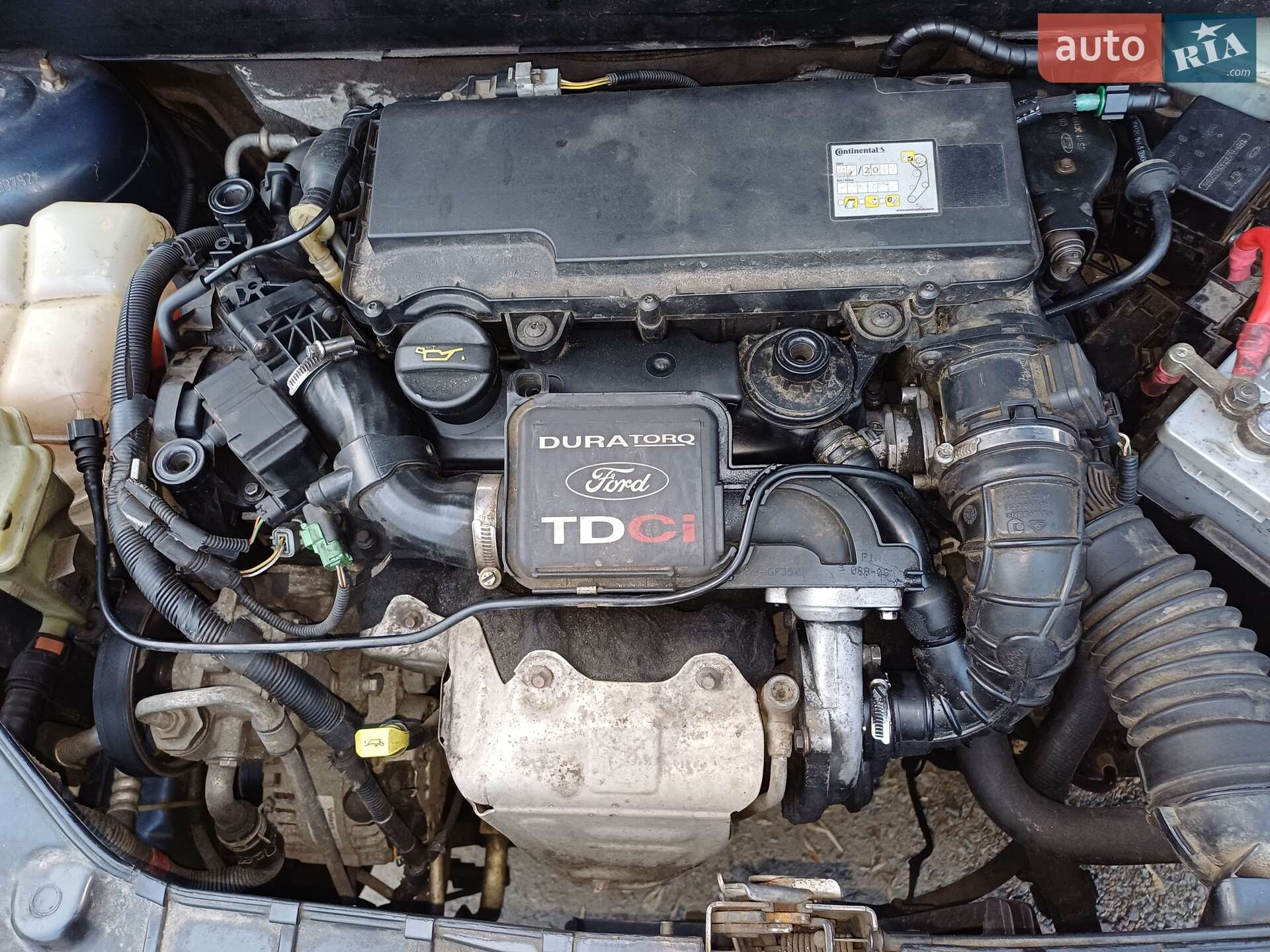 Ford Fusion 2008 VIN WF0UXXGAJU8G83782 фото оголошення 10 з 15