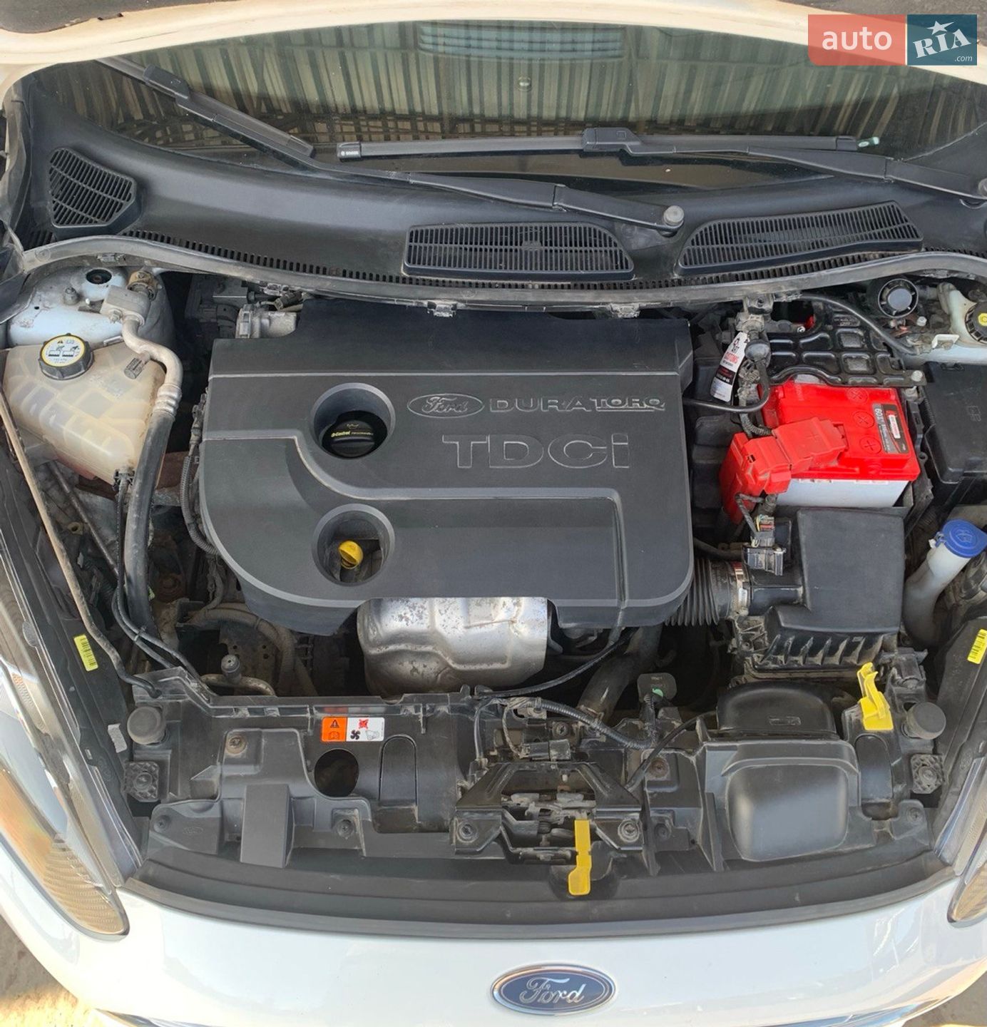 Ford Fiesta 2013 VIN WF0DXXGAKDDK07771 фото оголошення 46 з 95