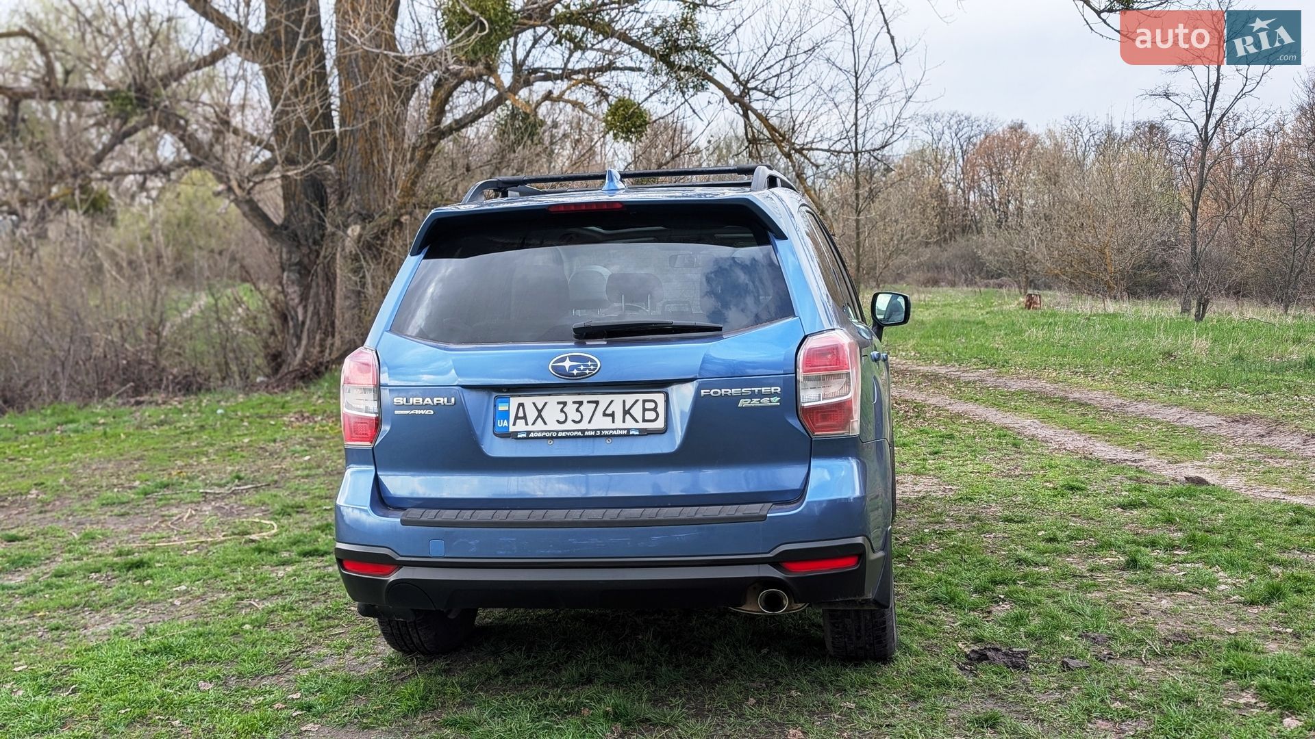 Subaru Forester 2015 VIN JF2SJAHC9GH436806 фото оголошення 10 з 29