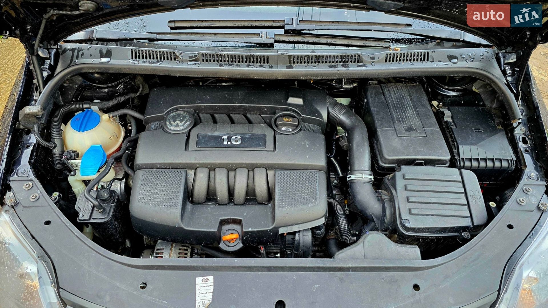 Volkswagen Golf Plus 2006 VIN WVWZZZ1KZ6W527250 фото оголошення 2 з 57
