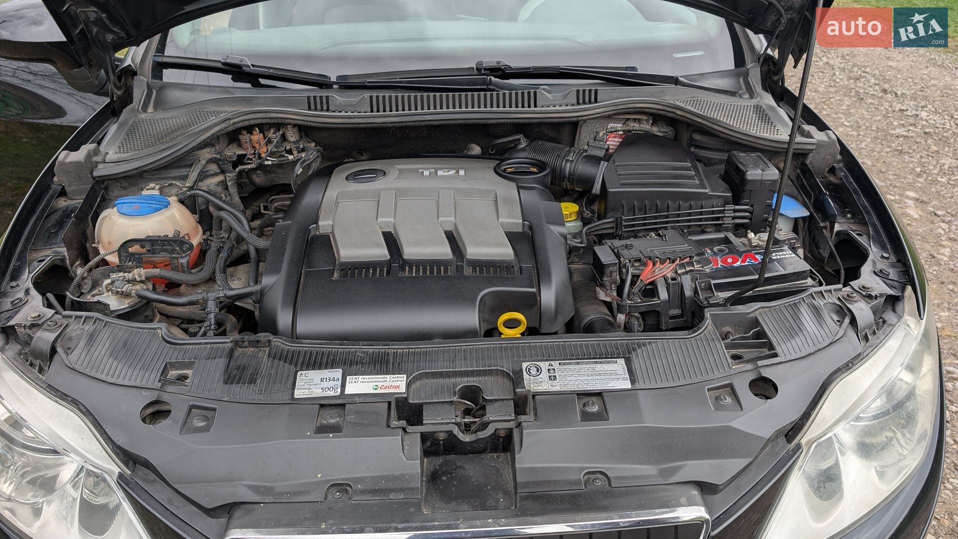 SEAT Ibiza 2011 VIN VSSZZZ6JZCR020498 фото оголошення 6 з 14