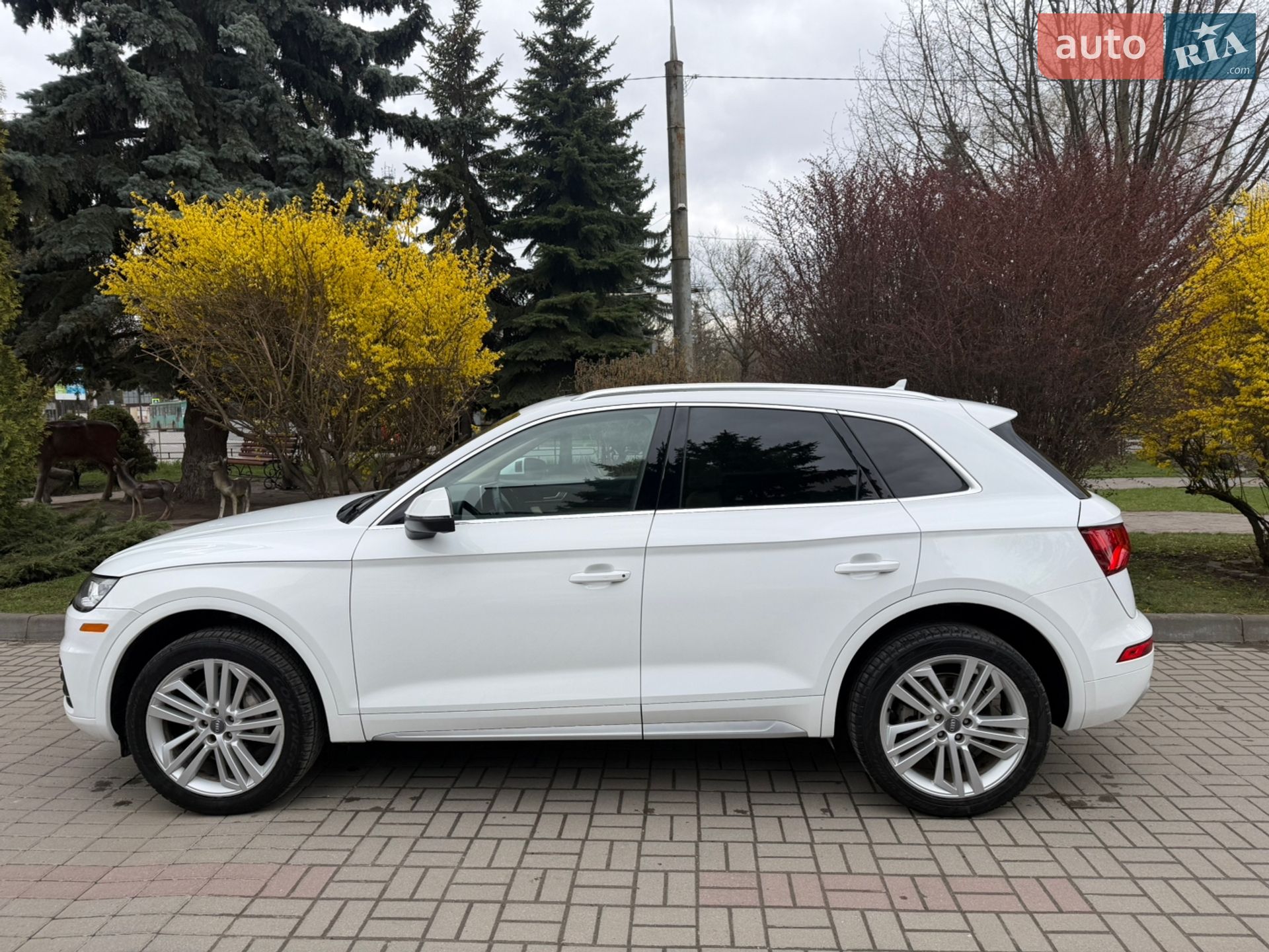 Audi Q5 2017 VIN WA1BNAFY5J2011170 фото оголошення 14 з 43