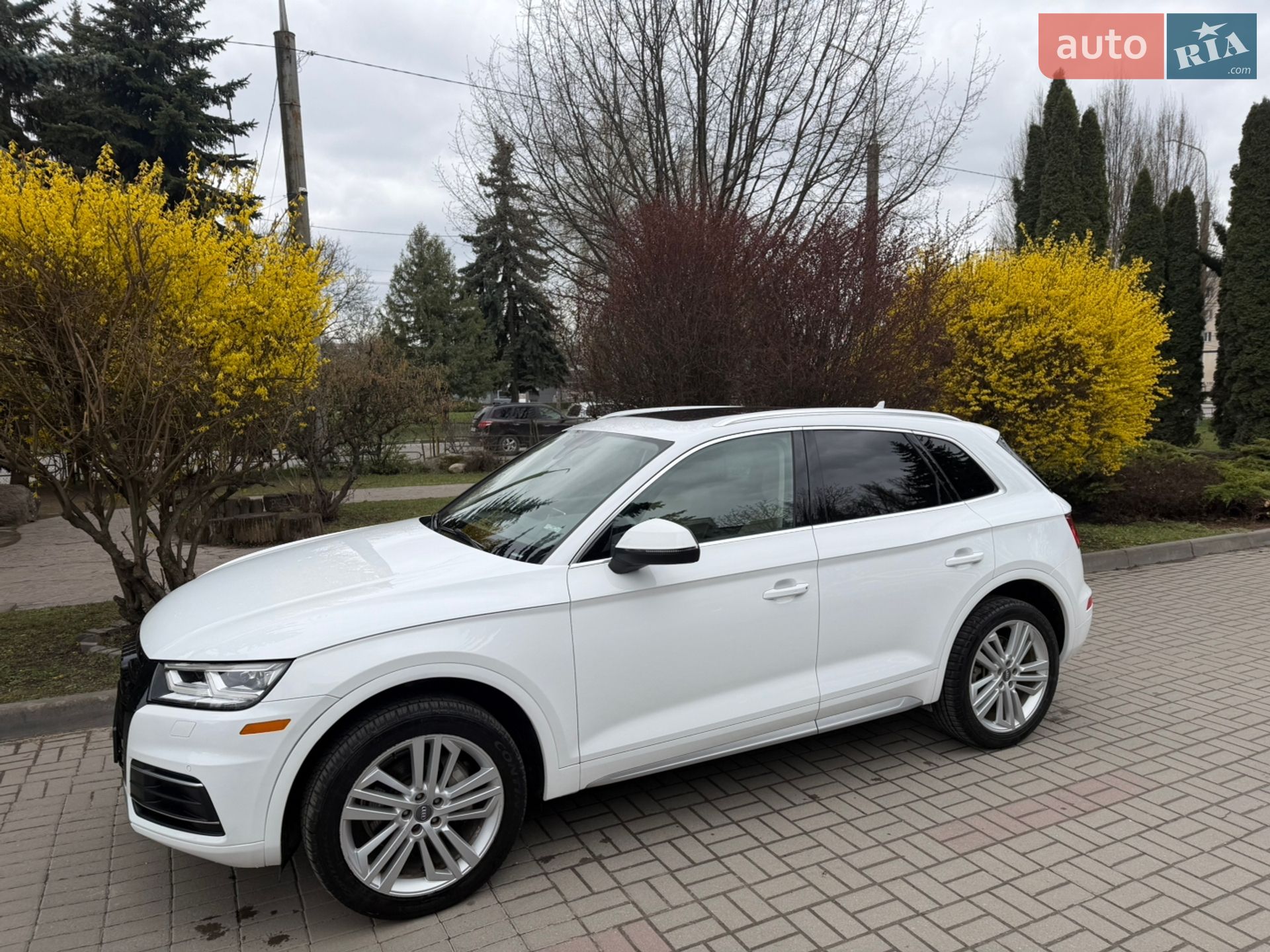 Audi Q5 2017 VIN WA1BNAFY5J2011170 фото оголошення 15 з 43