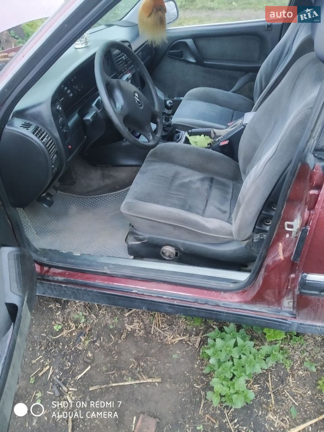 Opel Omega 1992 VIN W0L000017N1101559 фото оголошення 12 з 12