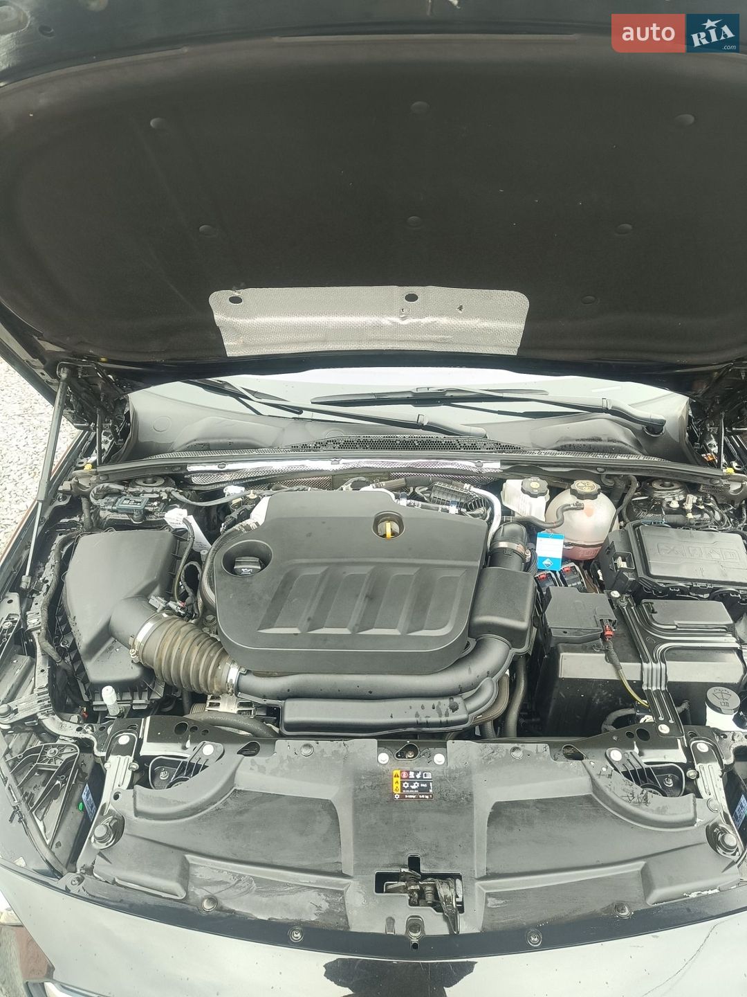 Opel Insignia 2021 VIN W0VZM8EP6M1016015 фото оголошення 45 з 74