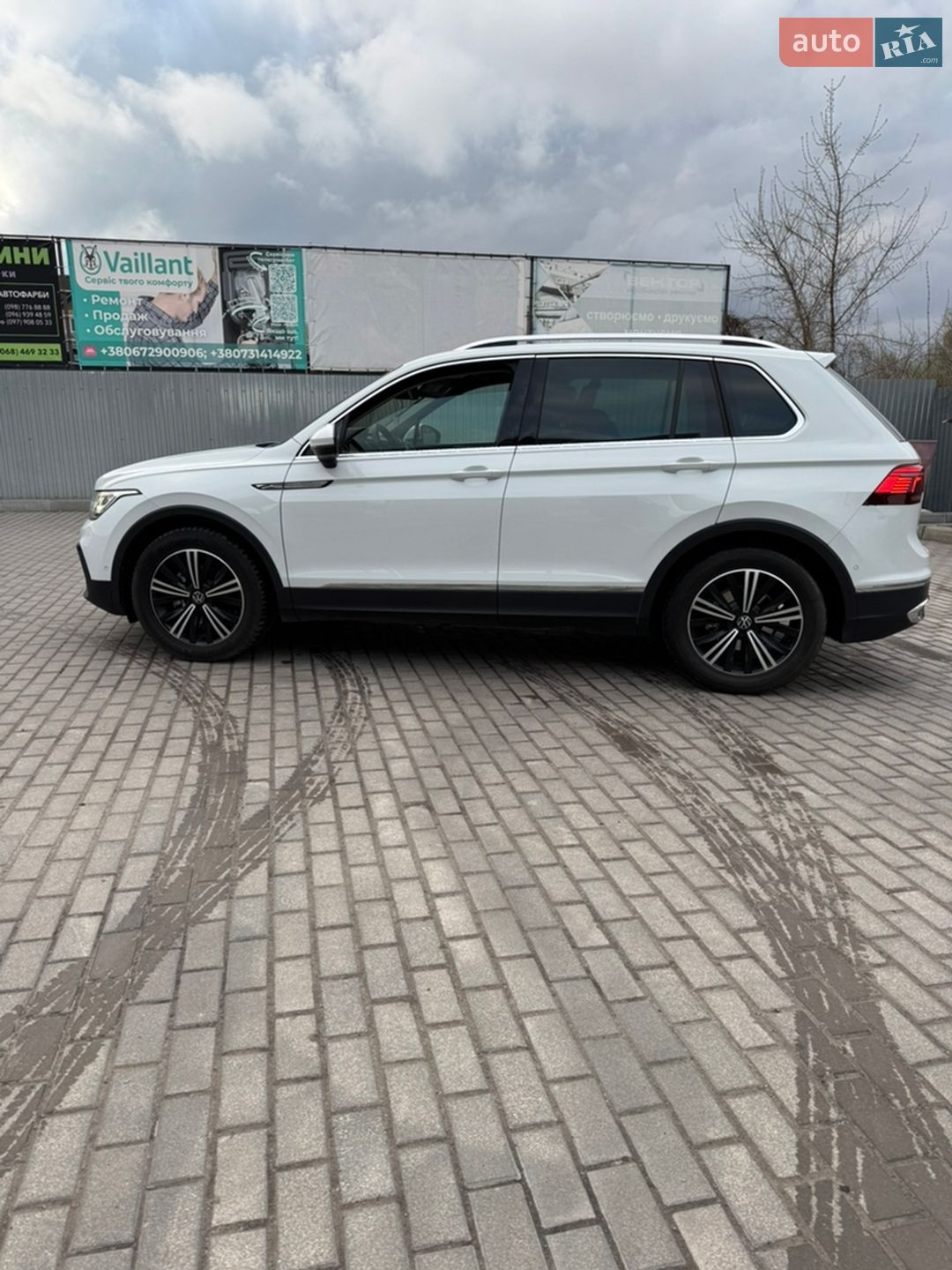 Volkswagen Tiguan 2023 VIN WVGZZZ5N9PW061226 фото оголошення 56 з 361