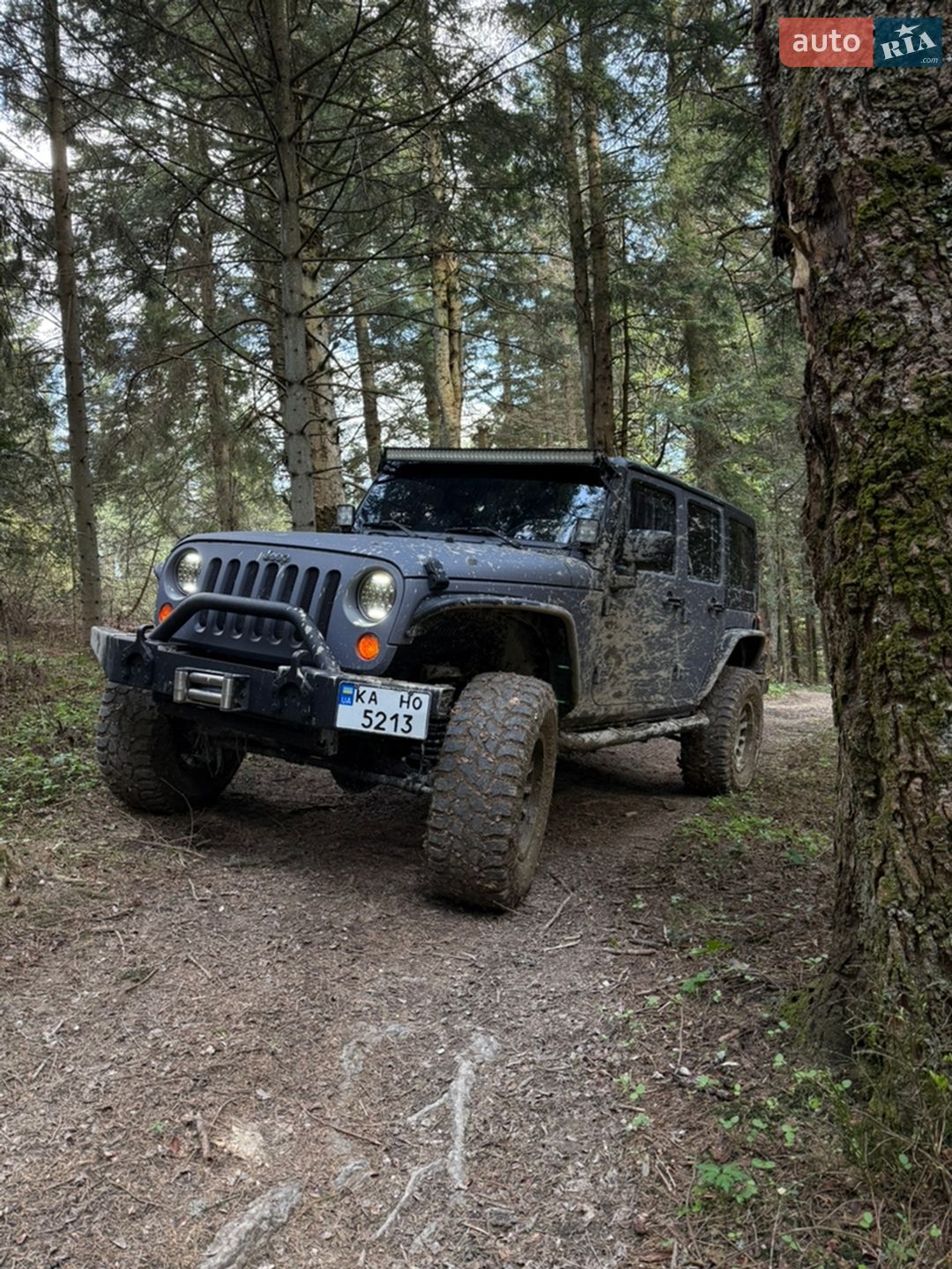 Jeep Wrangler 2011 VIN 1C4HJWFGXCL104263 фото оголошення 12 з 15