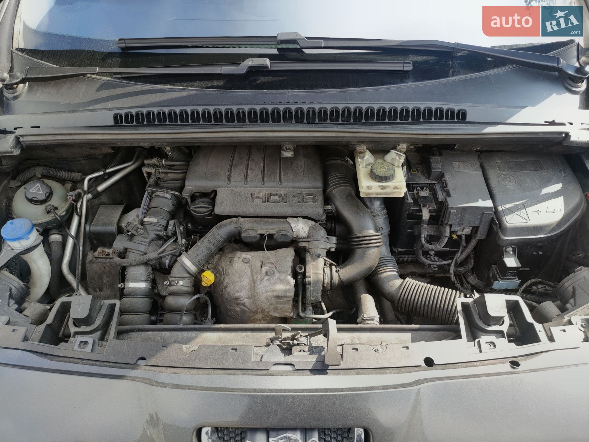Peugeot 5008 2010 VIN VF30A9HZHAS244444 фото оголошення 31 з 37