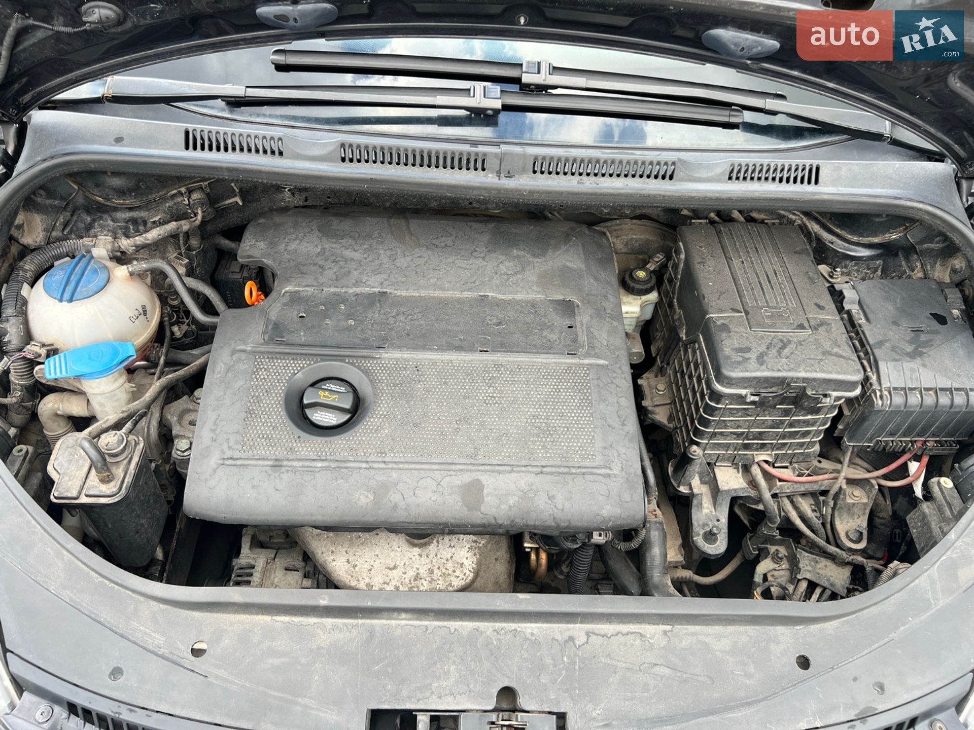 Volkswagen Golf 2005 VIN WVWZZZ1KZ5W541905 фото оголошення 18 з 19