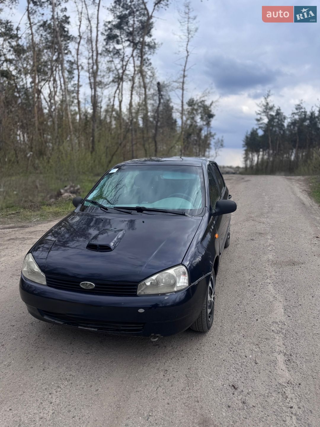 ВАЗ / Lada 1119 Калина 2008 VIN XTA11193080068998 фото оголошення 3 з 6
