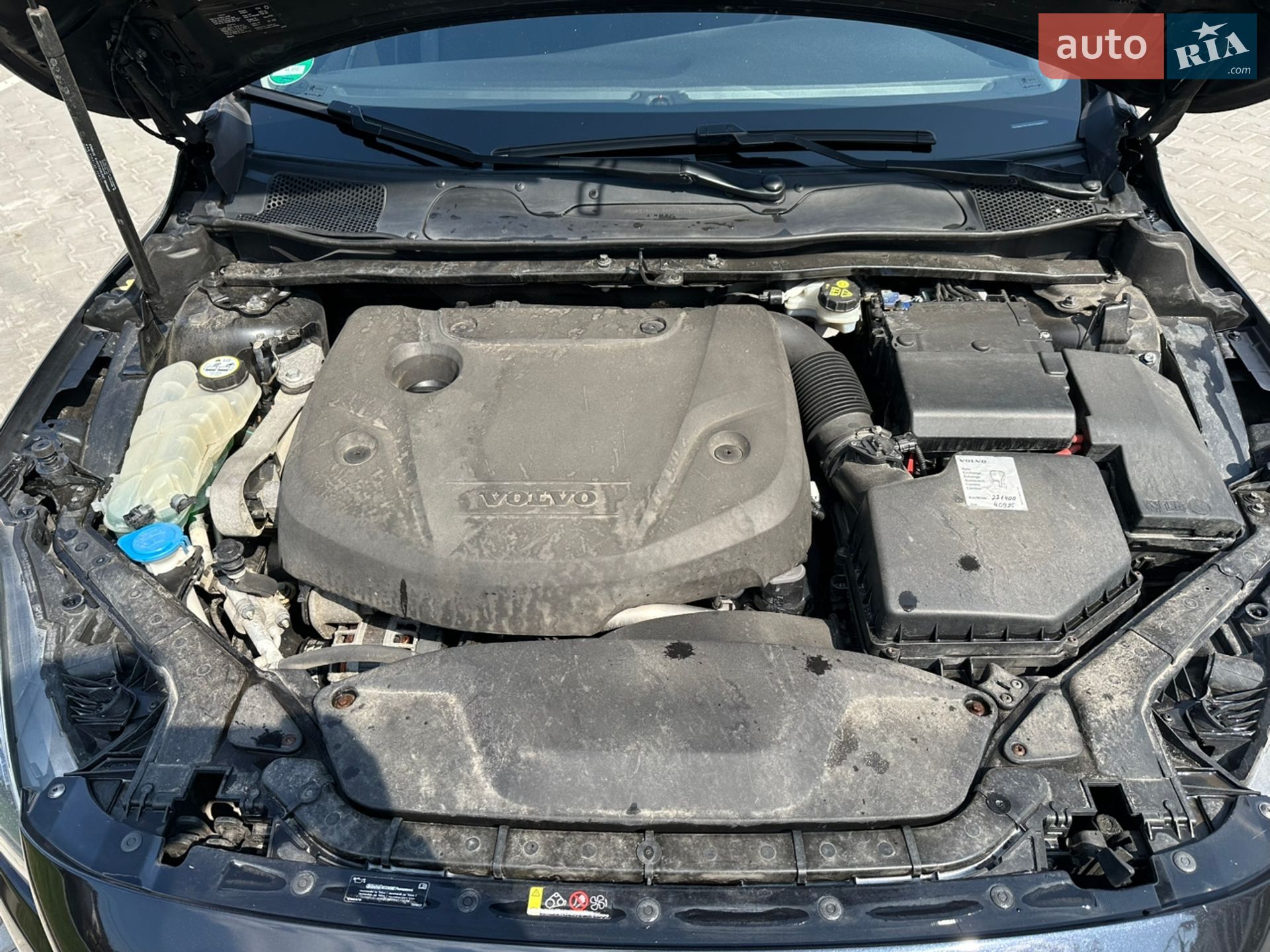 Volvo V40 2015 VIN YV1MVA8LDF2239687 фото оголошення 24 з 24