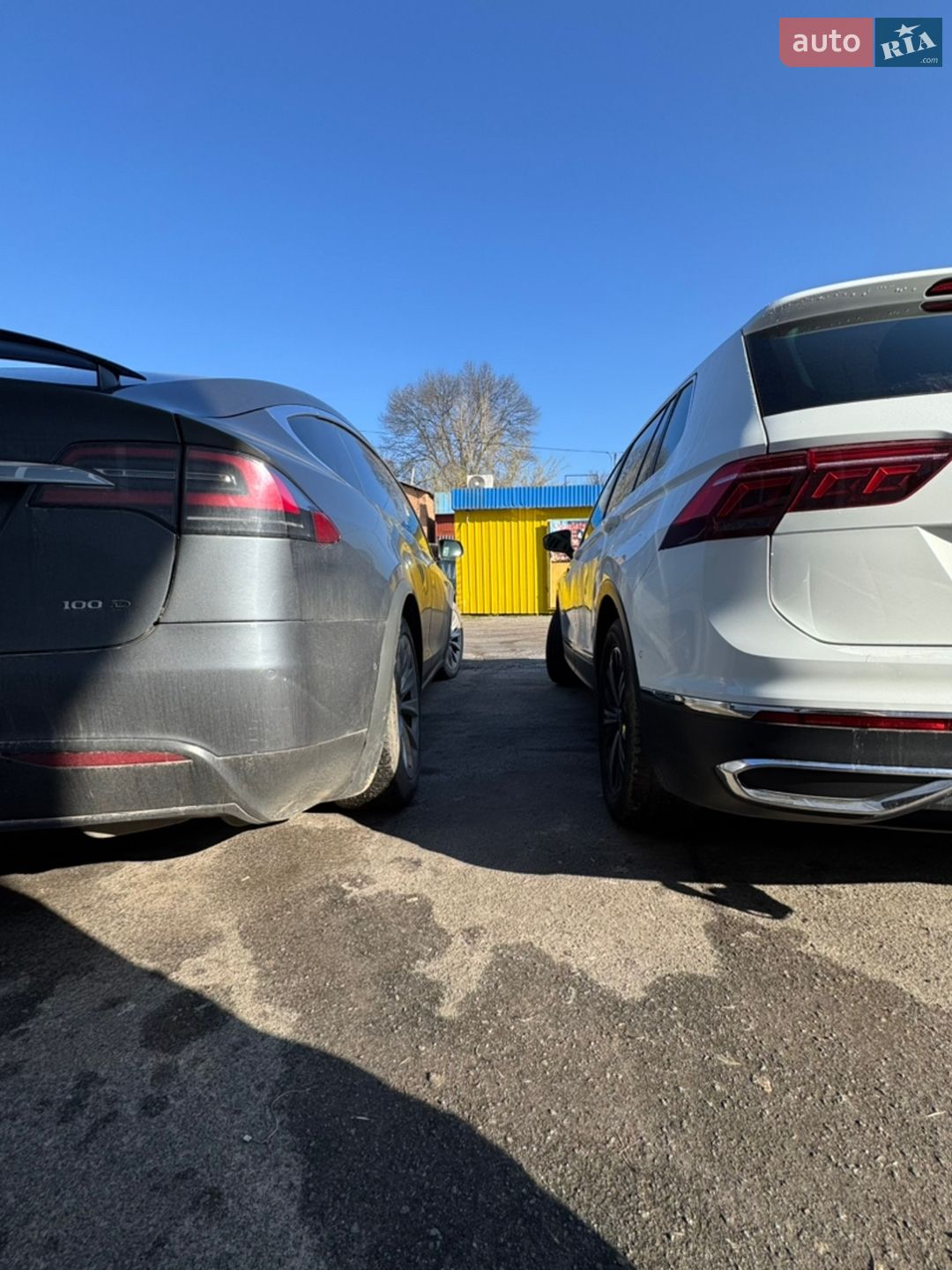 Volkswagen Tiguan 2023 VIN WVGZZZ5N9PW061226 фото оголошення 208 з 361