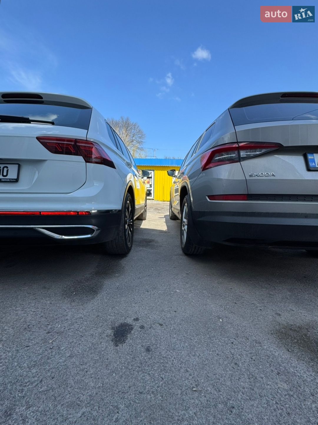 Volkswagen Tiguan 2023 VIN WVGZZZ5N9PW061226 фото оголошення 209 з 361