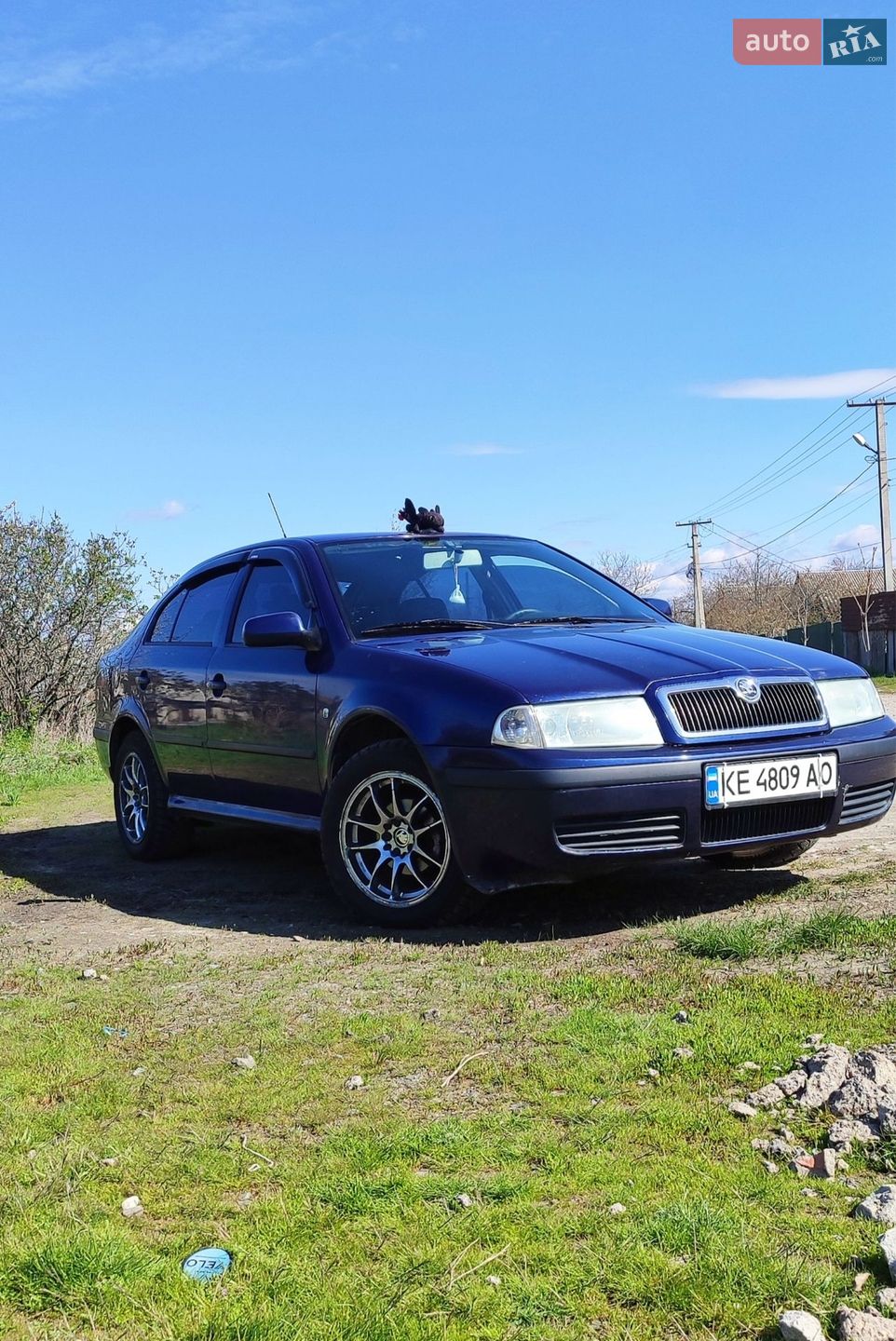 Skoda Octavia 2008 VIN TMBDX41U78B012653 фото оголошення 15 з 15