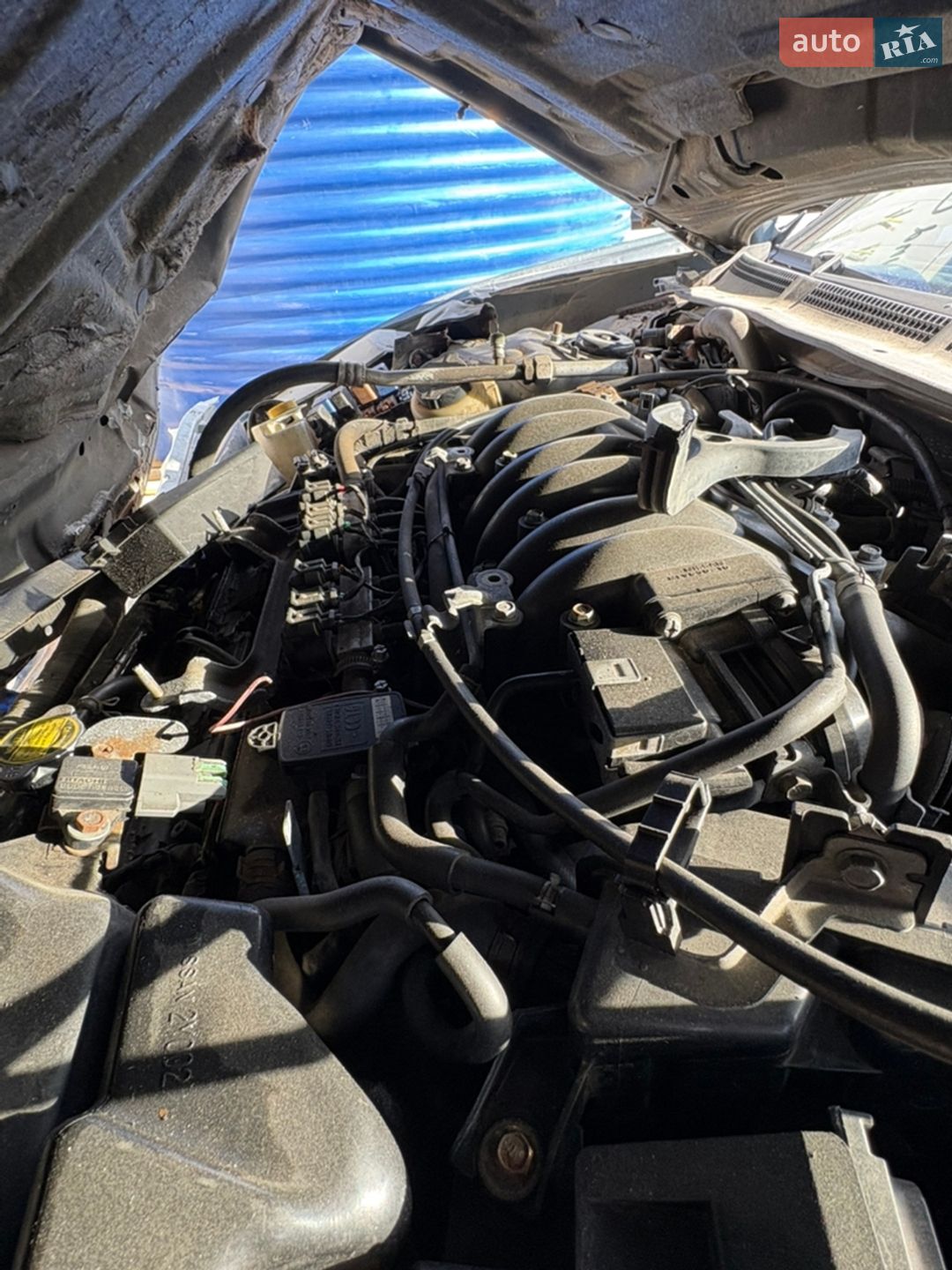 Nissan Maxima 2000 VIN JN1CA31S4YT182570 фото оголошення 6 з 18