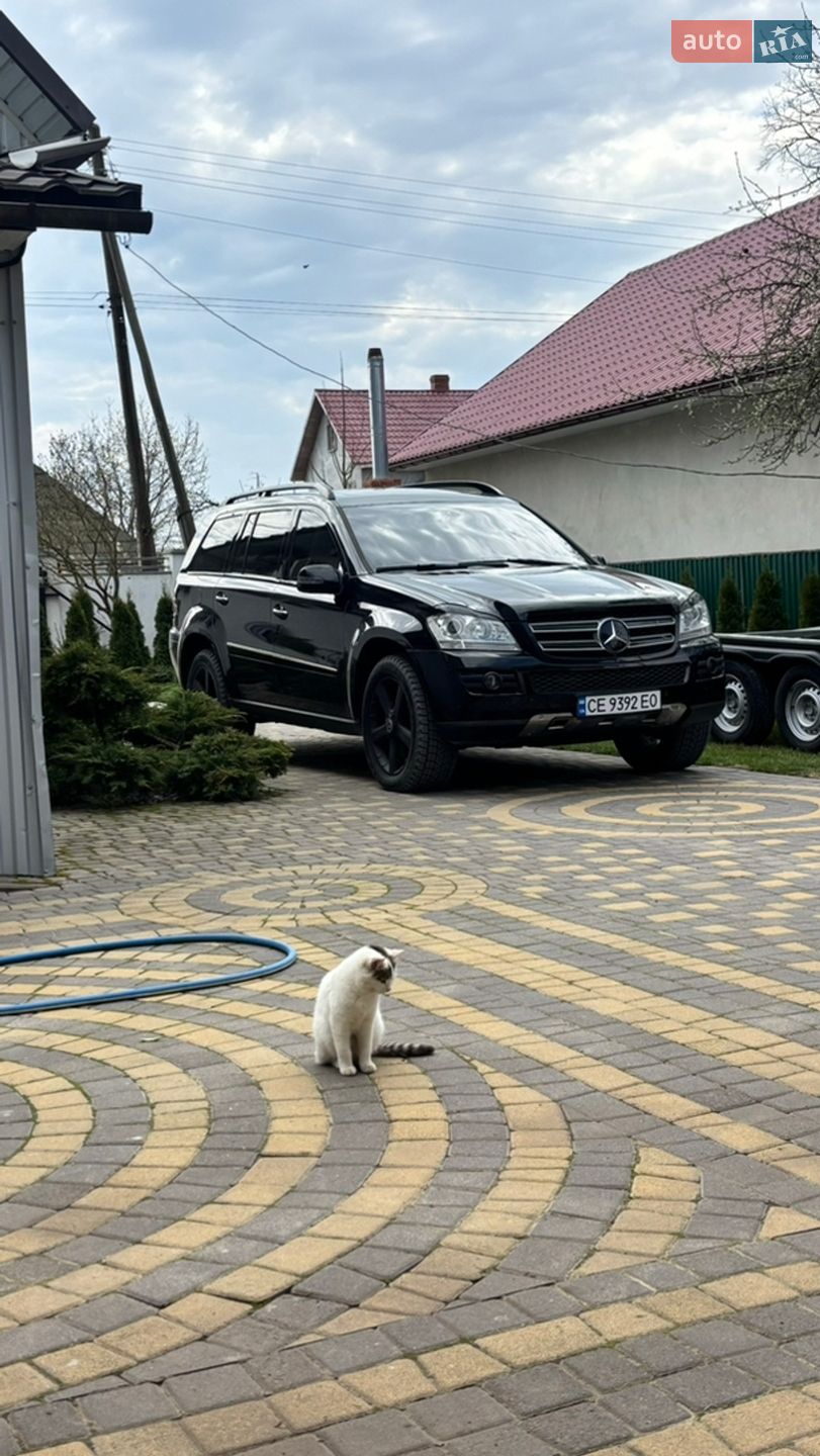 Mercedes-Benz GL-Class 2007 VIN WDC1648281A228104 фото оголошення 12 з 43