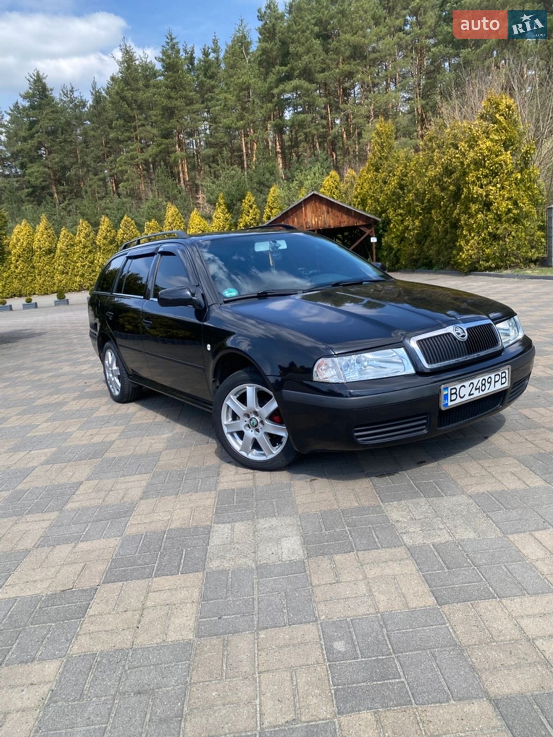 Skoda Octavia 2003 VIN TMBJX21U242856195 фото оголошення 3 з 31