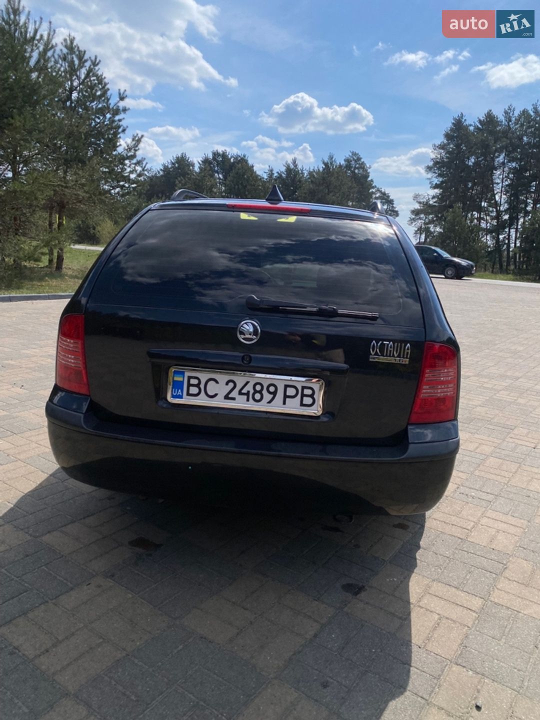 Skoda Octavia 2003 VIN TMBJX21U242856195 фото оголошення 11 з 31