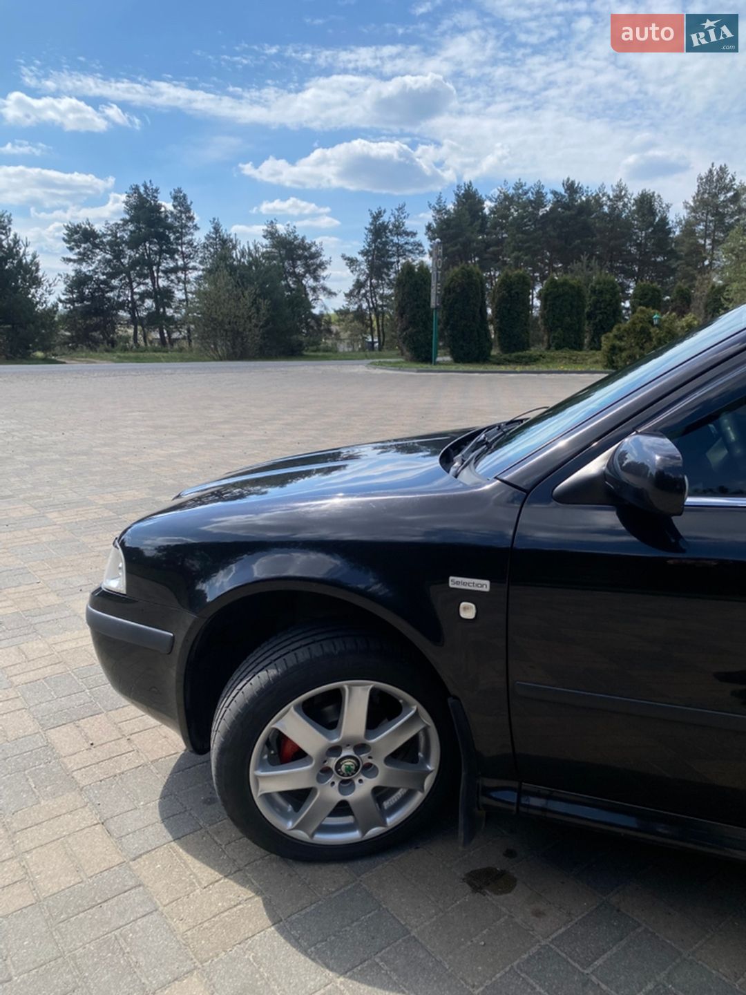 Skoda Octavia 2003 VIN TMBJX21U242856195 фото оголошення 16 з 31