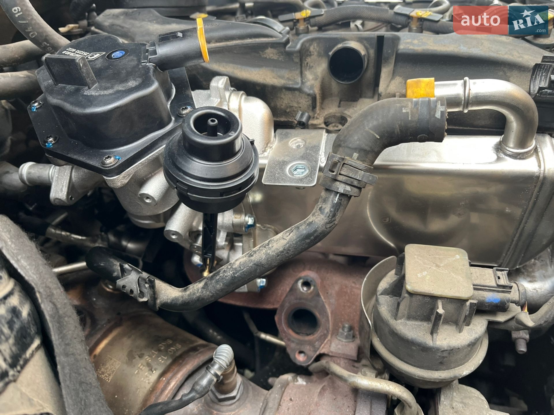 Audi Q5 2011 VIN WAUZZZ8R6CA003579 фото оголошення 32 з 32