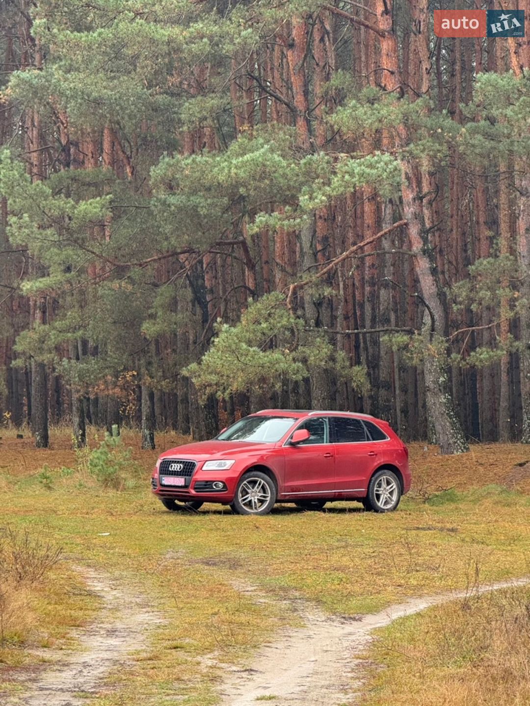 Audi Q5 2014 VIN WA1LFAFP3EA101535 фото оголошення 2 з 20
