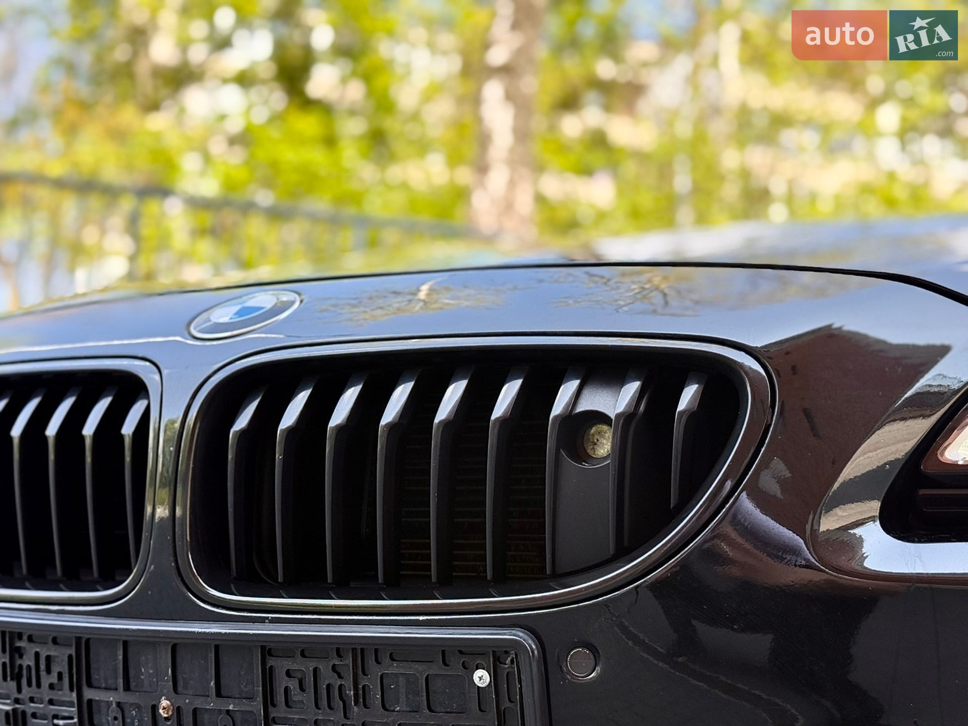 BMW 6 Series 2016 VIN WBA6E41040G378635 фото оголошення 7 з 70