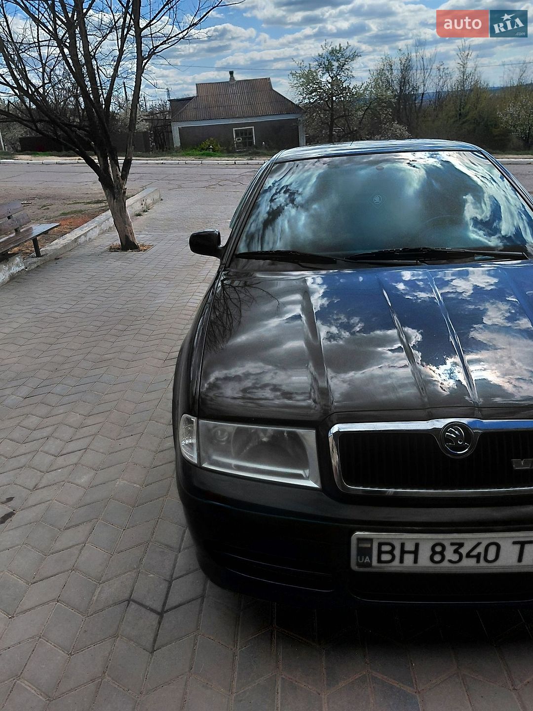Skoda Octavia 2008 VIN TMBDL41U68B011795 фото оголошення 30 з 38