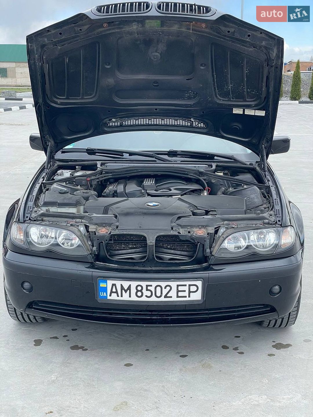 BMW 3 Series 2004 VIN WBAEY31020KS44698 фото оголошення 20 з 34