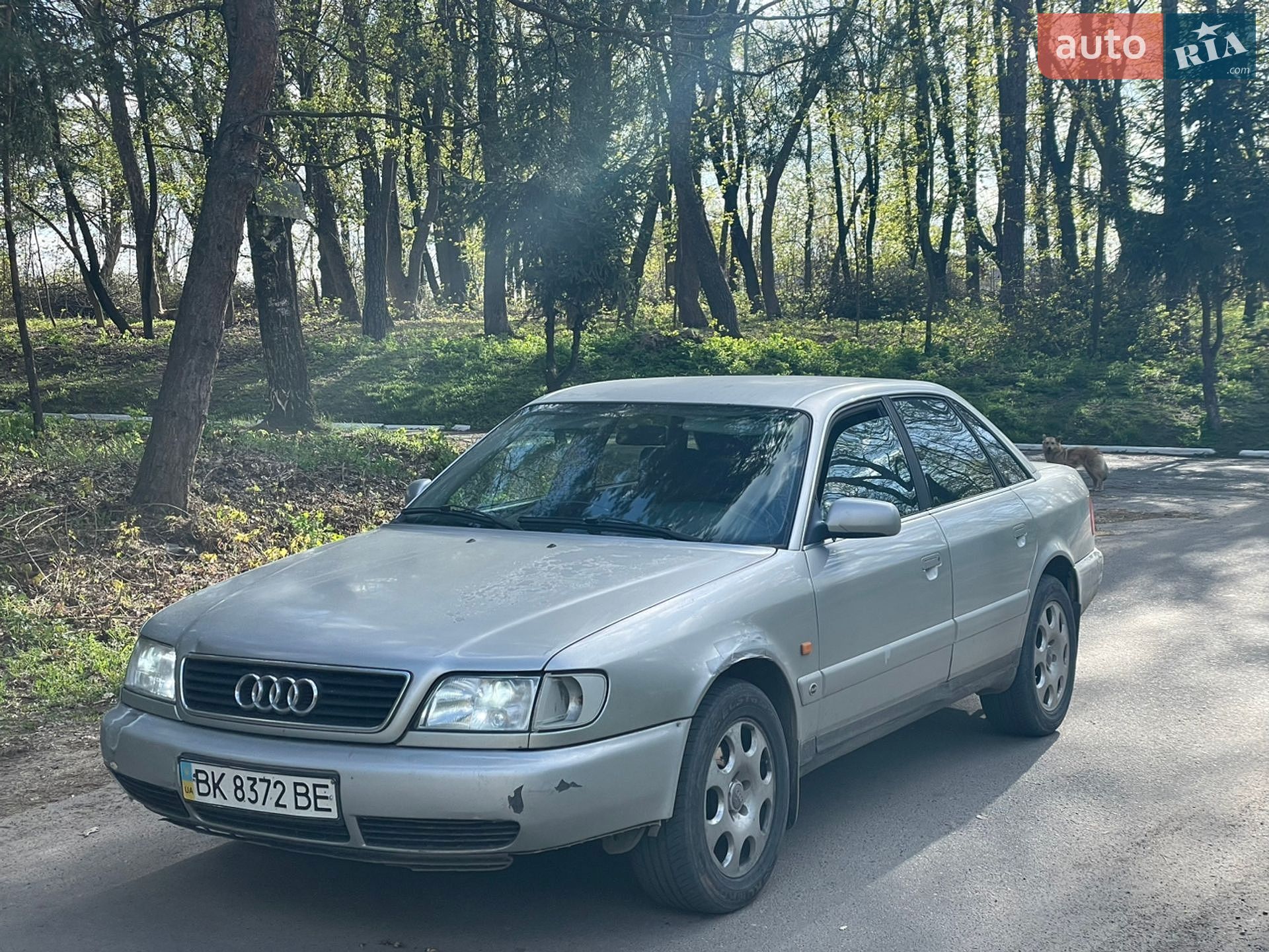 Audi A6 1995 VIN WAUZZZ4AZSN021596 фото оголошення 2 з 11