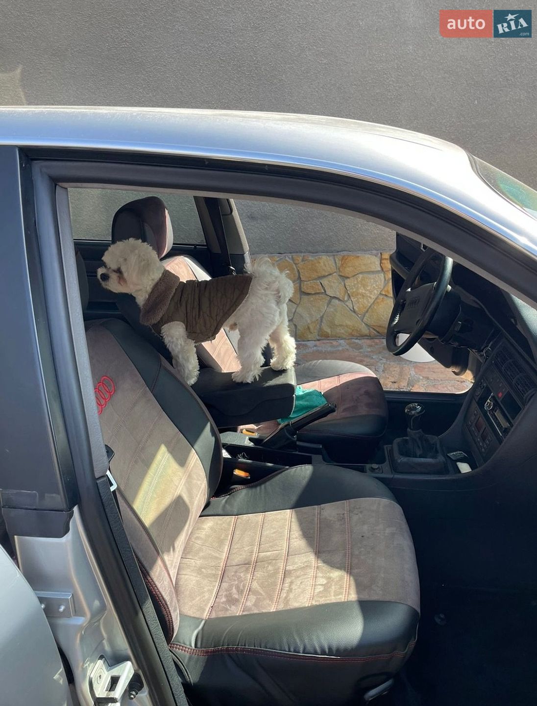 Audi A6 1995 VIN WAUZZZ4AZSN021596 фото оголошення 7 з 11