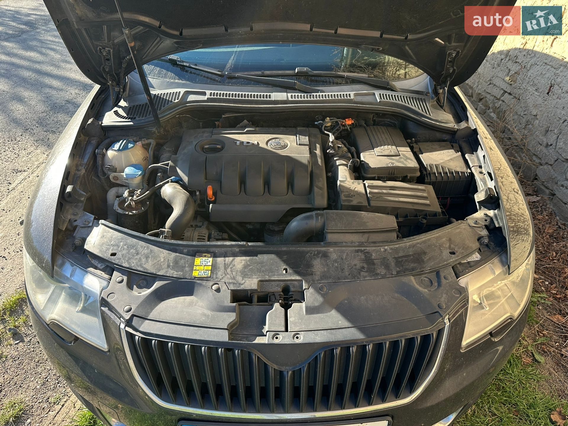 Skoda Superb 2009 VIN TMBAE73T499028204 фото оголошення 13 з 18
