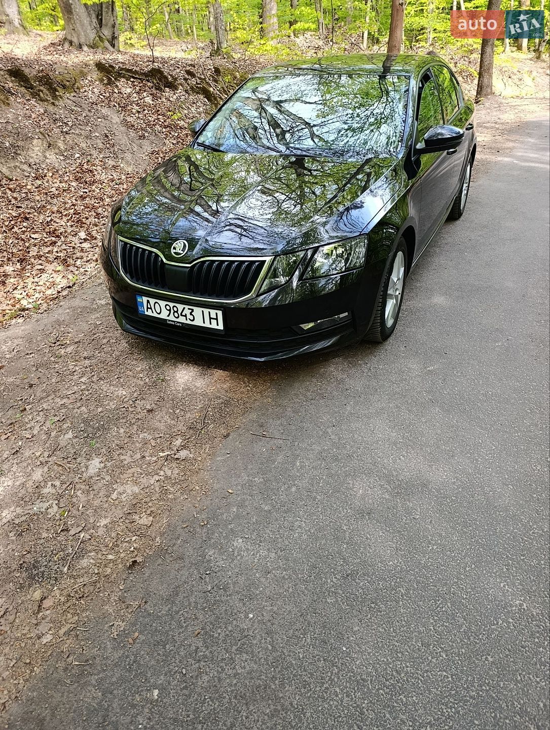 Skoda Octavia 2019 VIN TMBAG7NE6K0142241 фото оголошення 3 з 29
