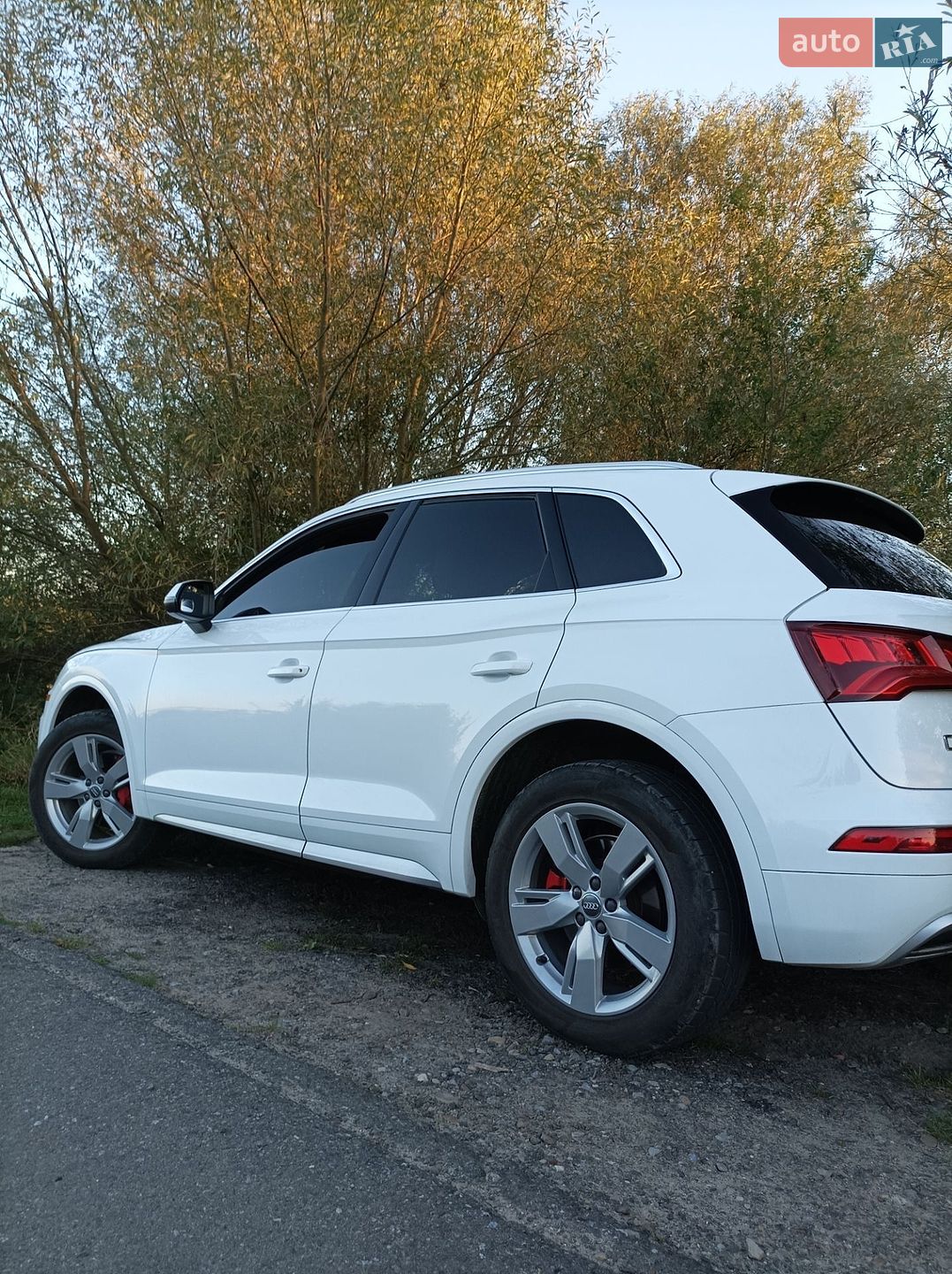 Audi Q5 2017 VIN WA1BNAFY0J2097259 фото оголошення 21 з 21