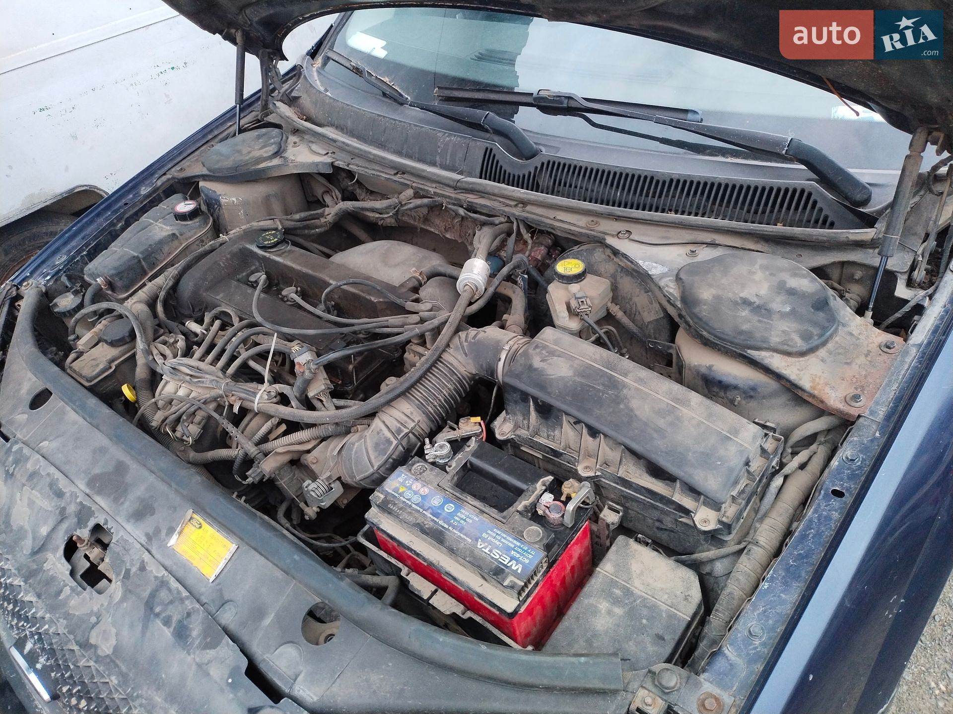Ford Mondeo 2001 VIN WF0WXXGBBW1P21588 фото оголошення 5 з 6